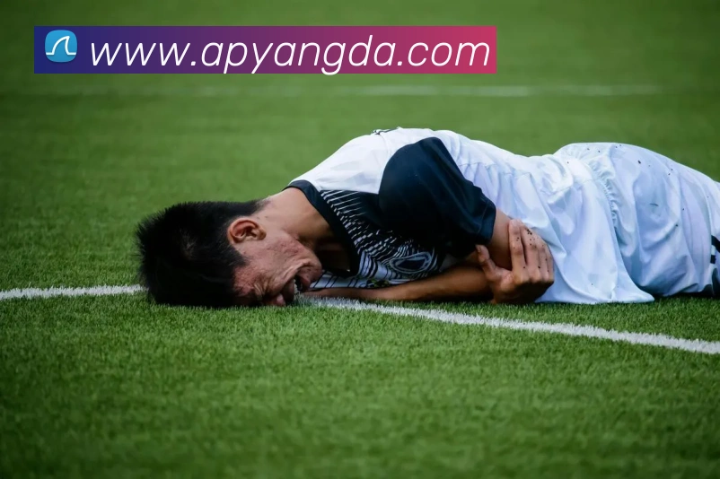 华体会平台生态图