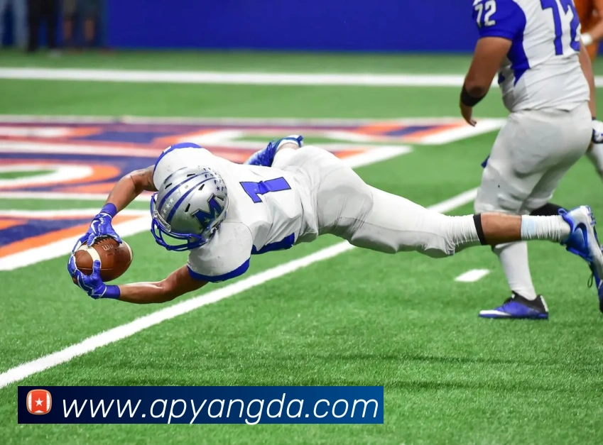 华体会APP 封面图