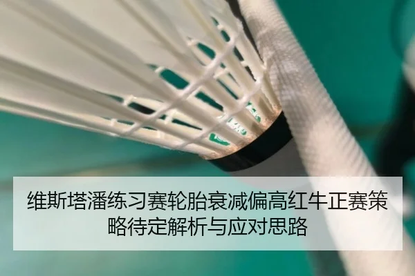 维斯塔潘练习赛轮胎衰减偏高红牛正赛策略待定解析与应对思路